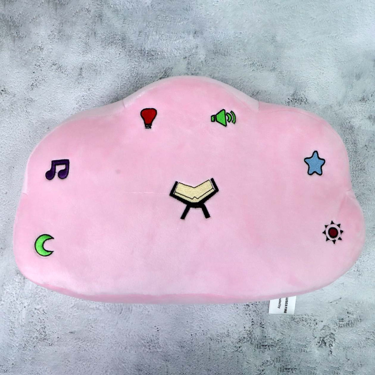 The Talking Illuminated Pillow